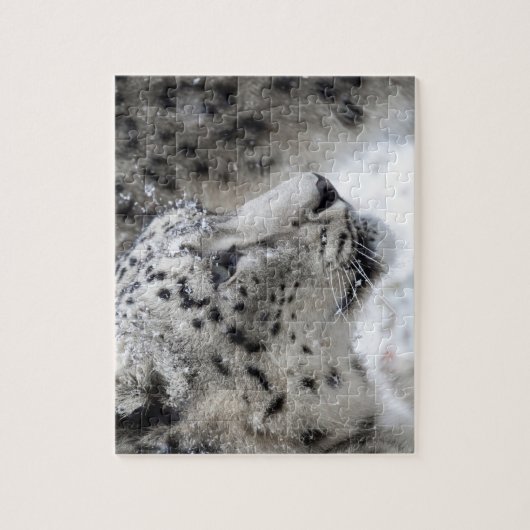 Sneeuwbalprofiel Legpuzzel (Verticaal)