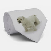 SneeuwbalStropdas Stropdas (Opgerold)