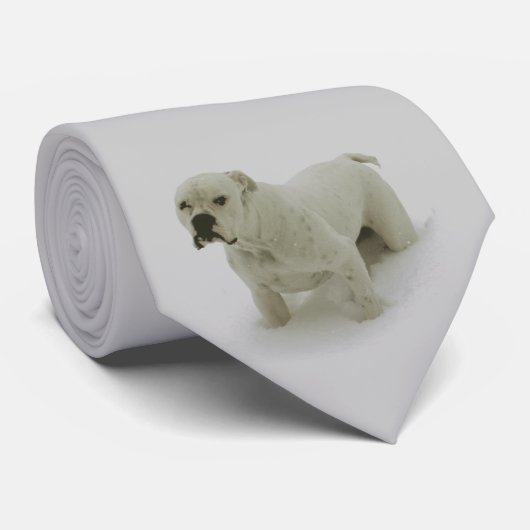 SneeuwbalStropdas Stropdas (Opgerold)