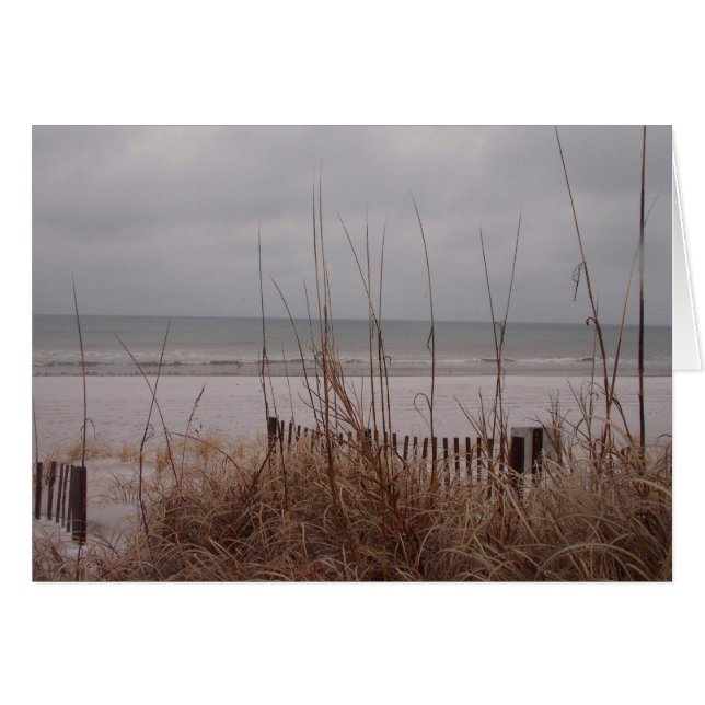 Sneeuwband (Voorkant Horizontaal)