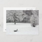 Sneeuwbank en bomen briefkaart (Voorkant / Achterkant)