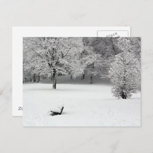 Sneeuwbank en bomen briefkaart (Voorkant / Achterkant)