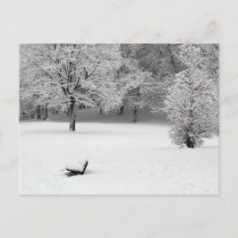 Sneeuwbank en bomen briefkaart