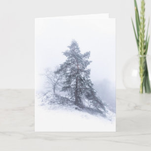 Sneeuwbedekkende boomfotokaart kaart
