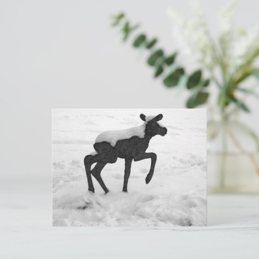 Sneeuwbedekking Baby Moose Briefkaart (Staand voorkant)