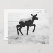 Sneeuwbedekking Baby Moose Briefkaart (Voorkant / Achterkant)