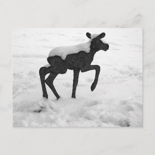 Sneeuwbedekking Baby Moose Briefkaart (Voorkant)
