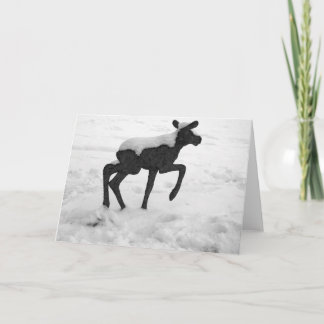 Sneeuwbedekking Baby Moose Feestdagen Kaart