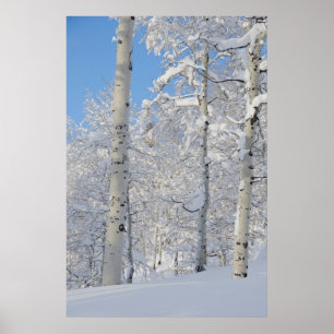 Sneeuwbedekking, berisping poster