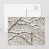 Sneeuwbedekking - Boom 2 Briefkaart (Voorkant / Achterkant)