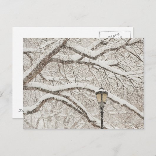 Sneeuwbedekking - Boom 2 Briefkaart (Voorkant / Achterkant)