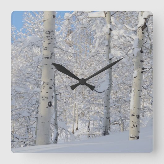 Sneeuwbedekking, braaksel vierkante klok (Voorkant)
