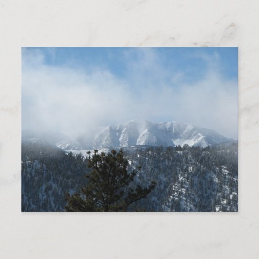 Sneeuwbedekking Briefkaart (Voorkant)