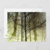 Sneeuwbedekking Briefkaart (Voorkant / Achterkant)