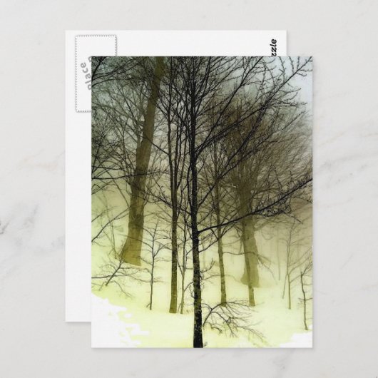 Sneeuwbedekking Briefkaart (Voorkant / Achterkant)