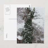 Sneeuwbedekking Briefkaart (Voorkant / Achterkant)