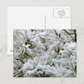 Sneeuwbedekking Briefkaart (Voorkant / Achterkant)