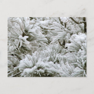 Sneeuwbedekking Briefkaart