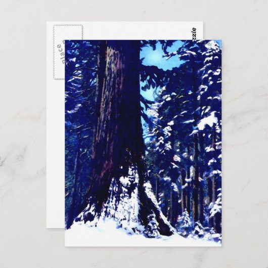 Sneeuwbedekking Briefkaart (Voorkant / Achterkant)