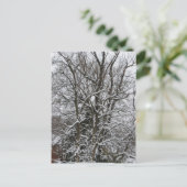 Sneeuwbedekking Briefkaart (Staand voorkant)