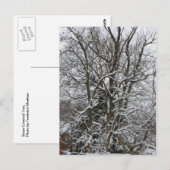Sneeuwbedekking Briefkaart (Voorkant / Achterkant)