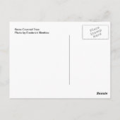 Sneeuwbedekking Briefkaart (Achterkant)