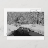 Sneeuwbedekking Briefkaart (Voorkant / Achterkant)