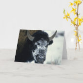 Sneeuwbedekking Buffalo Kaart (Gele Bloem)