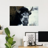 Sneeuwbedekking Buffalo Poster (Thuiskantoor)