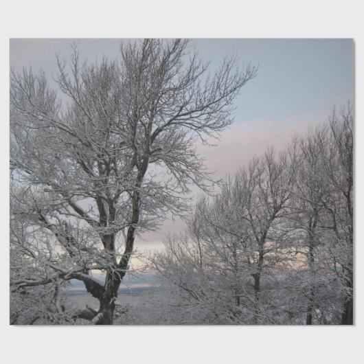 Sneeuwbedekking Cadeaupapier (Vlak)