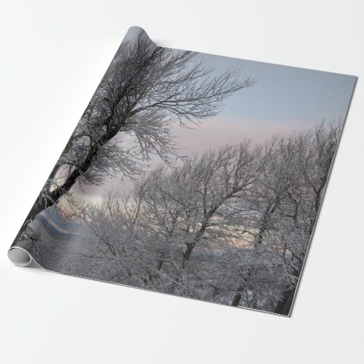 Sneeuwbedekking Cadeaupapier (Uitgerold)