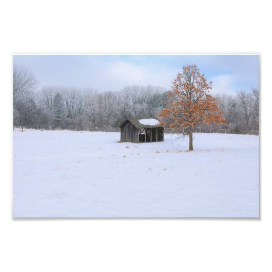Sneeuwbedekking dok foto afdruk (Voorkant)