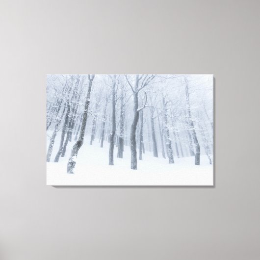 Sneeuwbedekking in de winter canvas afdruk (Voorkant)