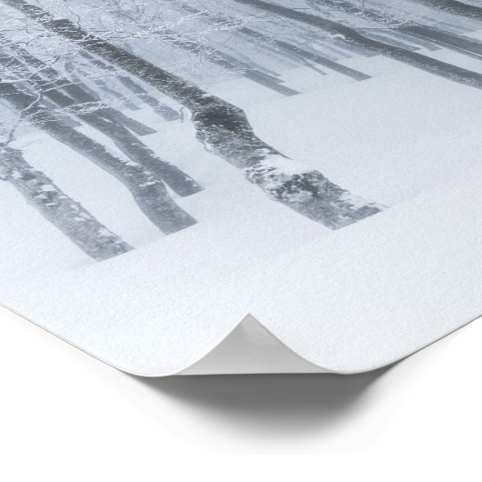 Sneeuwbedekking in de winter poster (Hoek)