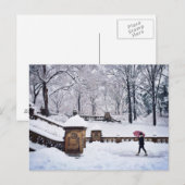 Sneeuwbedekking in het centrale park briefkaart (Voorkant / Achterkant)
