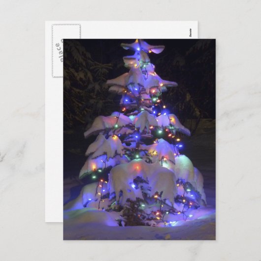 Sneeuwbedekking, kort en kort kerstboom feestdagenkaart (Voorkant / Achterkant)