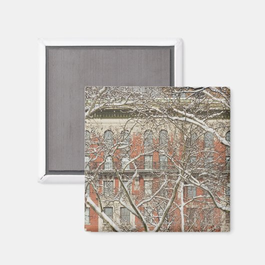 Sneeuwbedekking Magneet (Voorkant / Achterkant)