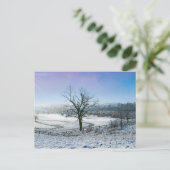 Sneeuwbedekking Ozark Hills Briefkaart (Staand voorkant)