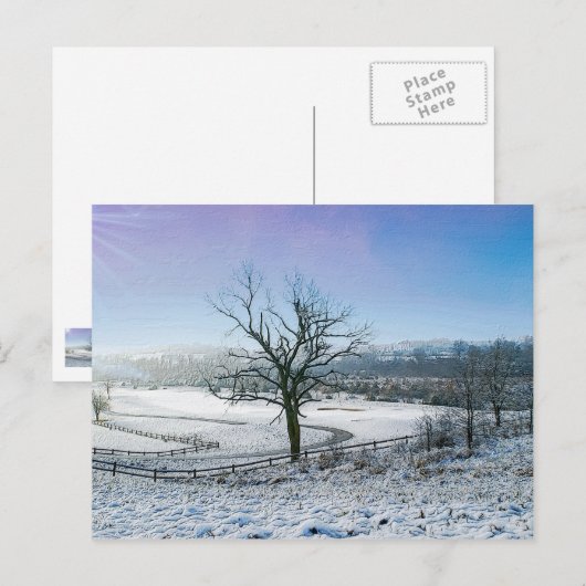 Sneeuwbedekking Ozark Hills Briefkaart (Voorkant / Achterkant)