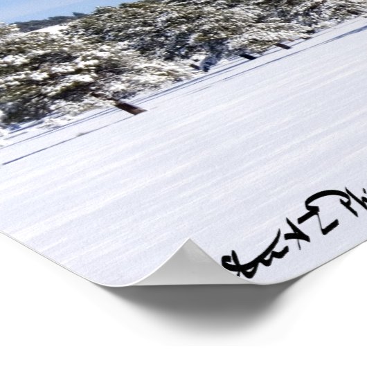 Sneeuwbedekking Pines & San Francisco Peaks Arizon Poster (Hoek)