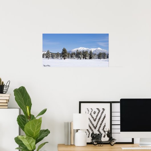 Sneeuwbedekking Pines & San Francisco Peaks Arizon Poster (Thuiskantoor)