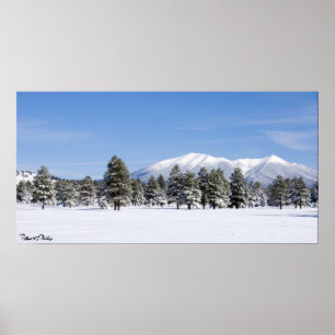 Sneeuwbedekking Pines & San Francisco Peaks Arizon Poster