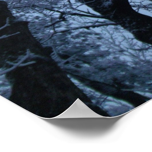 Sneeuwbedekking Poster (Hoek)