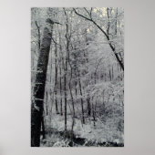 Sneeuwbedekking Poster (Voorkant)