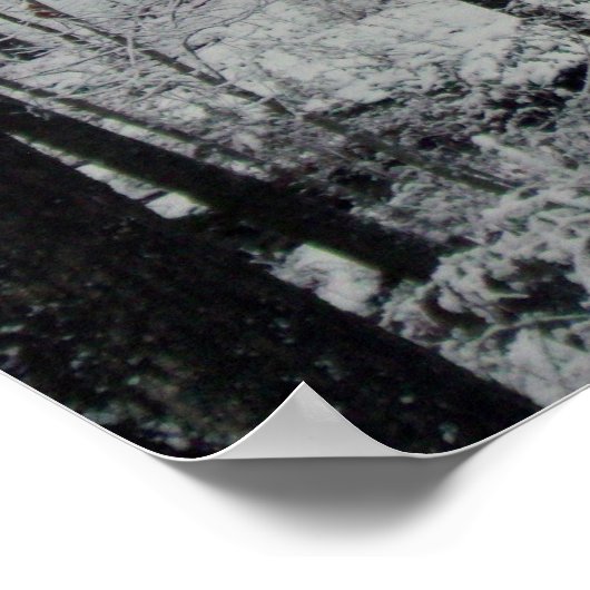 Sneeuwbedekking Poster (Hoek)