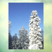 Sneeuwbedekking Tall Pine Tree Window Cling Raamsticker (Vel 3)