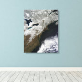 Sneeuwbedekking uit Canada Canvas Afdruk (Insitu (Houten vloer))