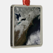 Sneeuwbedekking uit Canada Metalen Ornament (Rechts)