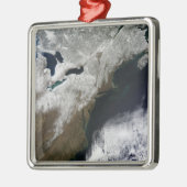 Sneeuwbedekking uit Canada Metalen Ornament (Links)