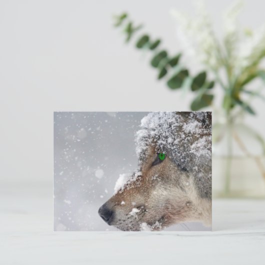 Sneeuwbedekking Wolf Briefkaart (Staand voorkant)
